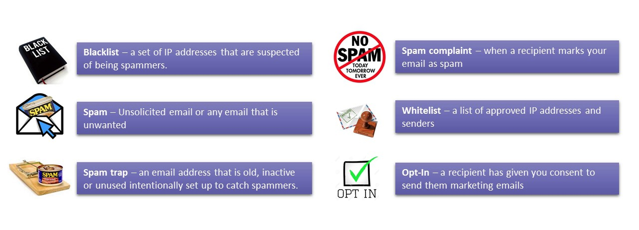 Best Email Marketing Tools